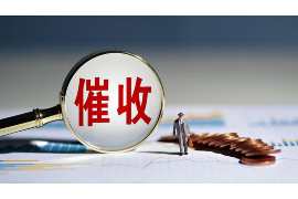 内乡企业清欠服务